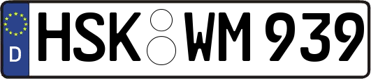 HSK-WM939