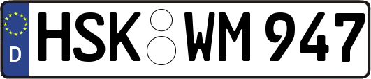 HSK-WM947