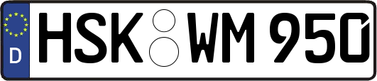 HSK-WM950