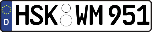 HSK-WM951