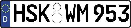HSK-WM953
