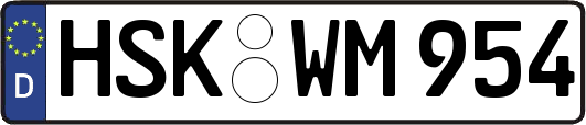 HSK-WM954