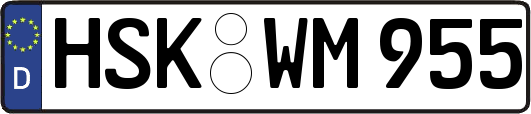 HSK-WM955