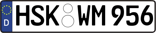 HSK-WM956