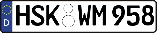 HSK-WM958