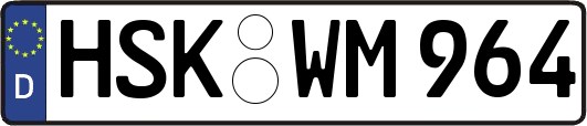 HSK-WM964
