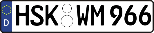 HSK-WM966