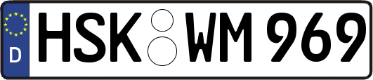 HSK-WM969