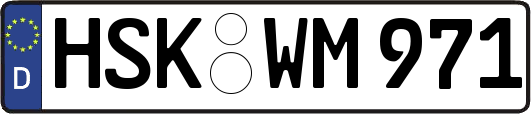HSK-WM971