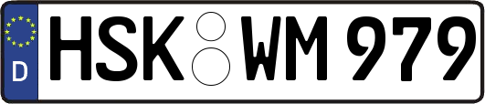 HSK-WM979