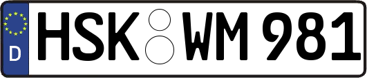 HSK-WM981