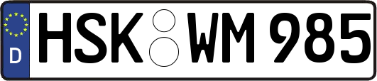HSK-WM985