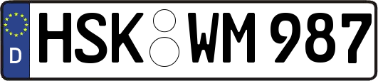 HSK-WM987