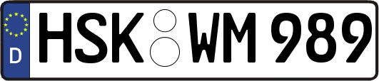 HSK-WM989