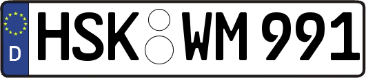 HSK-WM991