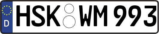 HSK-WM993