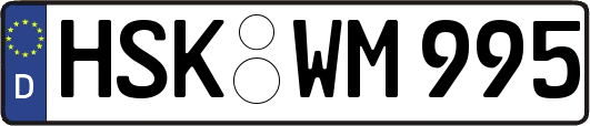 HSK-WM995