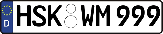 HSK-WM999