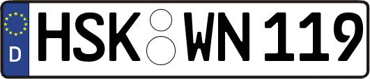HSK-WN119