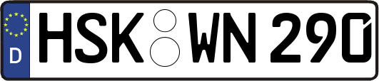 HSK-WN290