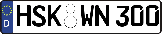 HSK-WN300