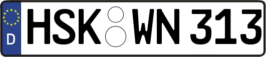 HSK-WN313