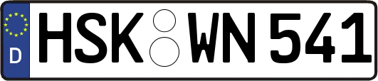 HSK-WN541
