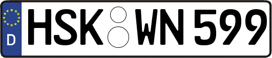 HSK-WN599