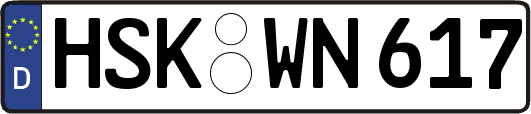 HSK-WN617
