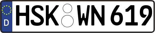 HSK-WN619