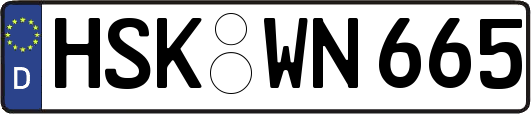 HSK-WN665