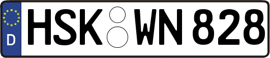 HSK-WN828