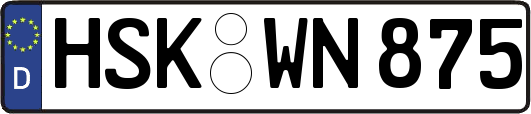 HSK-WN875