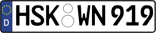 HSK-WN919