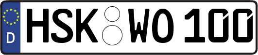 HSK-WO100