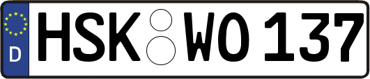 HSK-WO137
