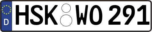 HSK-WO291