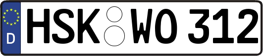 HSK-WO312