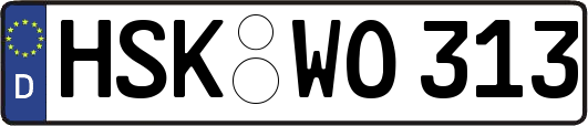 HSK-WO313