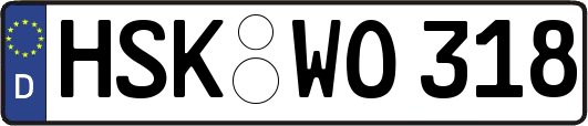 HSK-WO318
