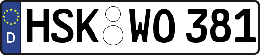 HSK-WO381