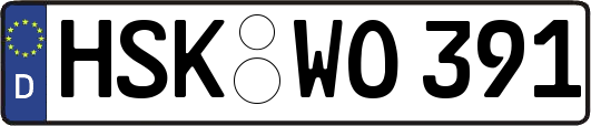 HSK-WO391