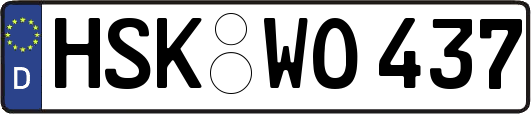 HSK-WO437