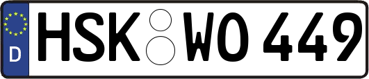 HSK-WO449