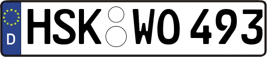 HSK-WO493