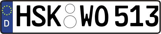HSK-WO513