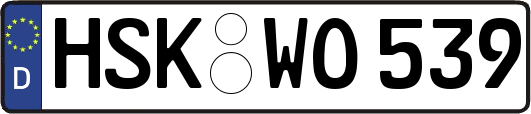 HSK-WO539