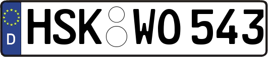 HSK-WO543