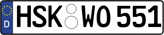 HSK-WO551