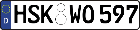 HSK-WO597